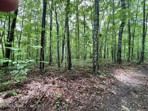4 Rob Watson Rd, Oneida, TN 37841 photo 3