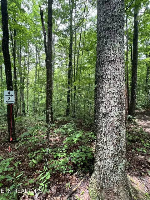 4 Rob Watson Rd, Oneida, TN 37841 photo 4