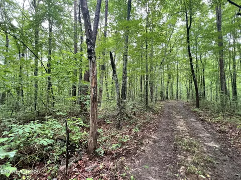 4 Rob Watson Rd, Oneida, TN 37841 photo 5