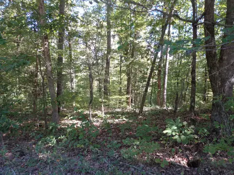 1030 Bucksnort Rd, Only, TN 37140