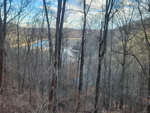 1 Antler Dr, Smithville, TN 37166