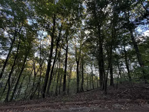 6604 Declaration Dr, Hixson, TN 37343 photo 3