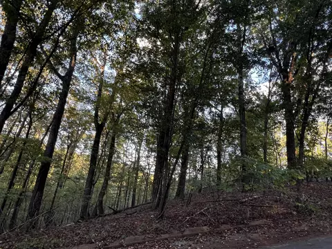 6604 Declaration Dr, Hixson, TN 37343 photo 8