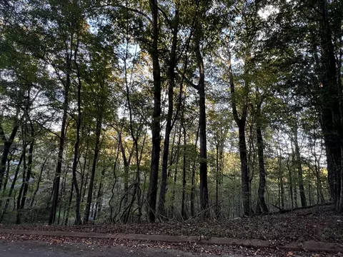 6604 Declaration Dr, Hixson, TN 37343 photo 7