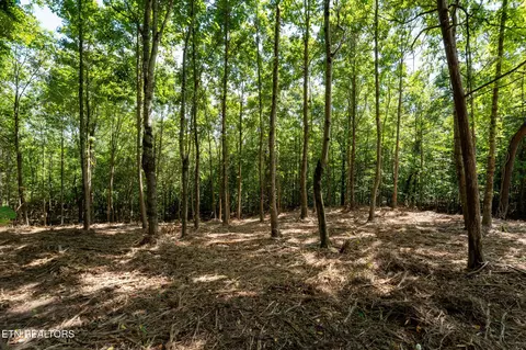 115 Pinecrest Dr, Loudon, TN 37774