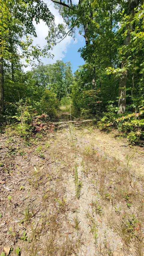 235 Quail Ln, Dunlap, TN 37327 photo 13