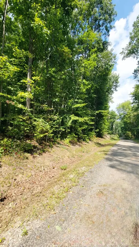 235 Quail Ln, Dunlap, TN 37327 photo 14