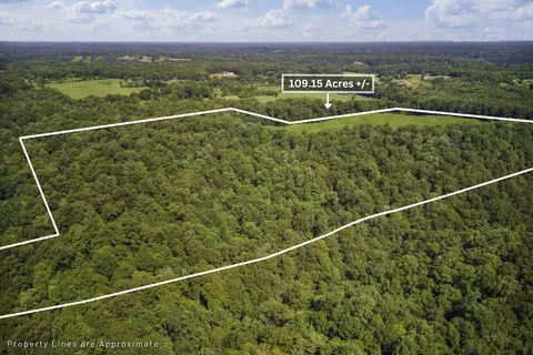 0 Creed Wright Rd, Walling, TN 38587 photo 6