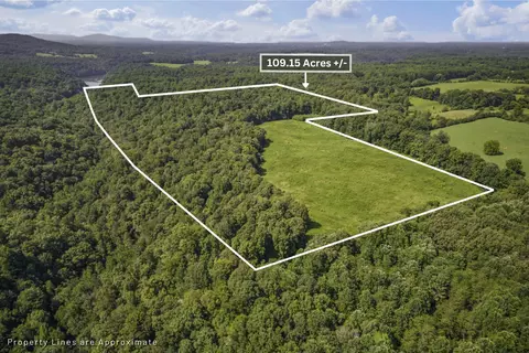 0 Creed Wright Rd, Walling, TN 38587 photo 5