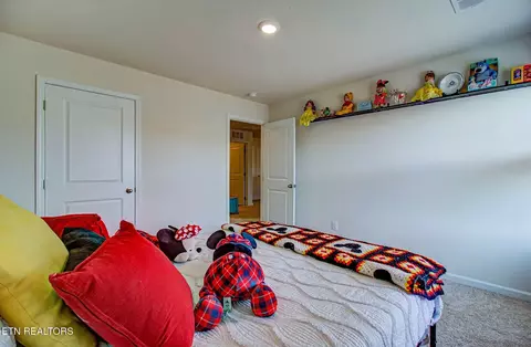 812 Greene Meadow Dr, Talbott, TN 37877 photo 36