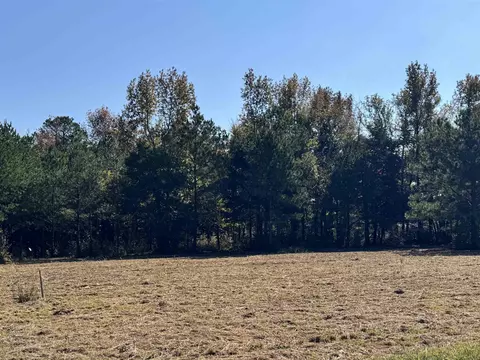 0 Daisy Ln, Savannah, TN 38372