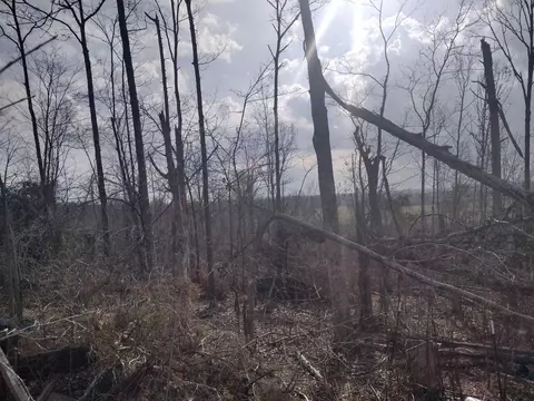 1670 Puron Rd, Adamsville, TN 38310