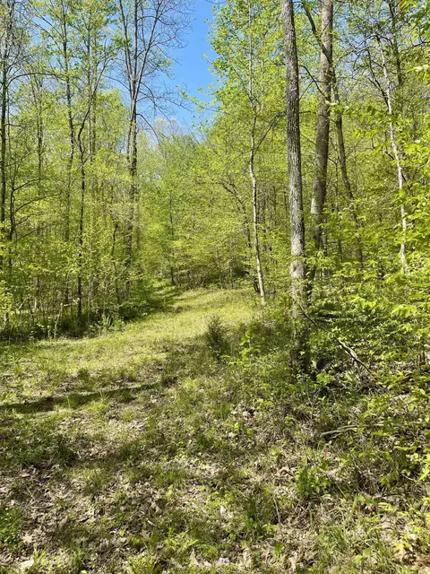 385 Enchanted Ln, Savannah, TN 38372
