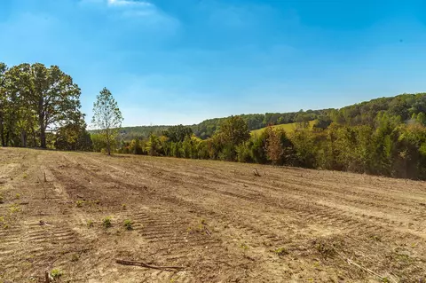 4 Rock Bridge Rd, Bethpage, TN 37022 photo 11