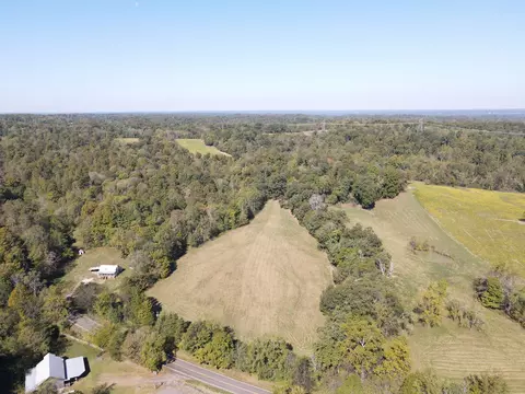 0 Buck Smith Rd, Palmyra, TN 37142