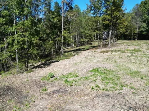 2 Gunter Hollow Rd # T, Pulaski, TN 38478