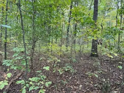 1 Fagin Rd, Madisonville, TN 37354