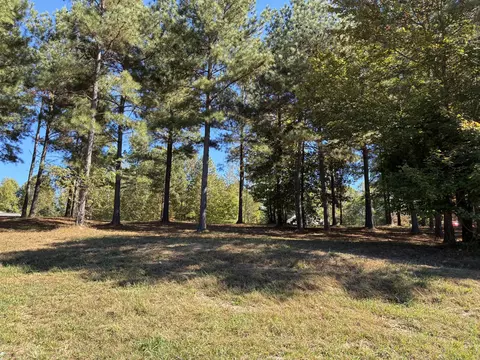 241 Pappy Rd, Jasper, TN 37347 photo 12
