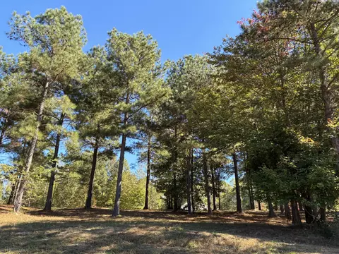 241 Pappy Rd, Jasper, TN 37347 photo 17