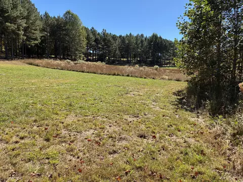 241 Pappy Rd, Jasper, TN 37347 photo 8
