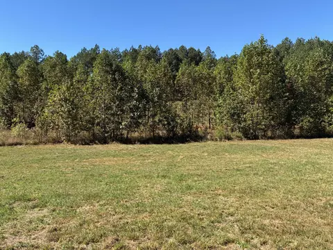 241 Pappy Rd, Jasper, TN 37347 photo 14