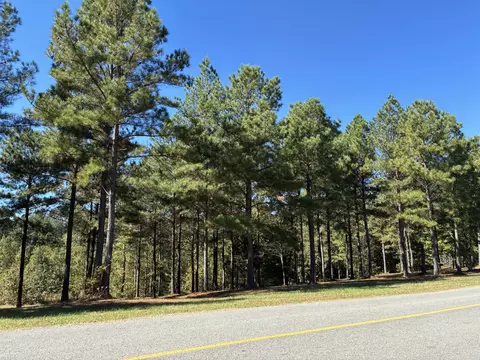 241 Pappy Rd, Jasper, TN 37347 photo 5