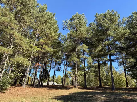 241 Pappy Rd, Jasper, TN 37347 photo 16