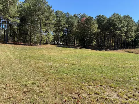241 Pappy Rd, Jasper, TN 37347 photo 9