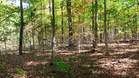138 Rack Rd, Bon Aqua, TN 37025
