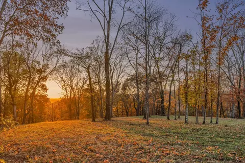 0 Burke Hollow Rd Tract 1, Nolensville, TN 37135