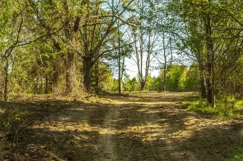 5 Rock Bridge Rd, Bethpage, TN 37022 photo 7