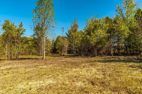 5 Rock Bridge Rd, Bethpage, TN 37022 photo 10