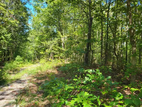 7 Strawberry Gables, Holladay, TN 38341
