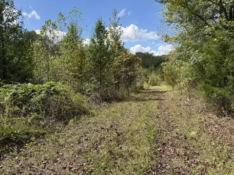 Other - 0 Fairfield Rd, Bethpage, TN 37022 photo 1 of 6