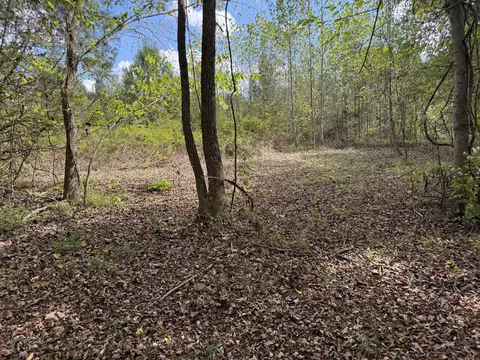 Exterior - 0 Fairfield Rd, Bethpage, TN 37022 photo 3 of 3