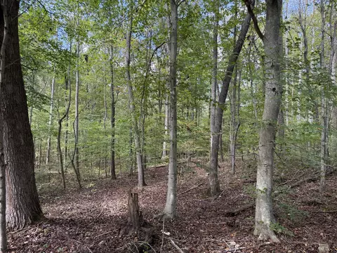 Exterior - 0 Fairfield Rd, Bethpage, TN 37022 photo 2 of 3