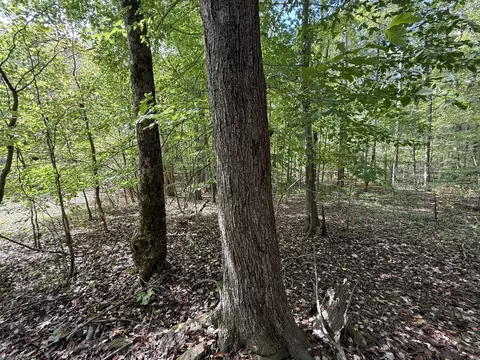 Exterior - 0 Fairfield Rd, Bethpage, TN 37022 photo 1 of 3