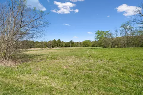 8633 Webb Rd, College Grove, TN 37046