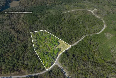 537 Saddleback Dr, Dover, TN 37058 photo 6