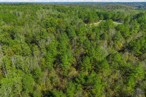 537 Saddleback Dr, Dover, TN 37058 photo 20