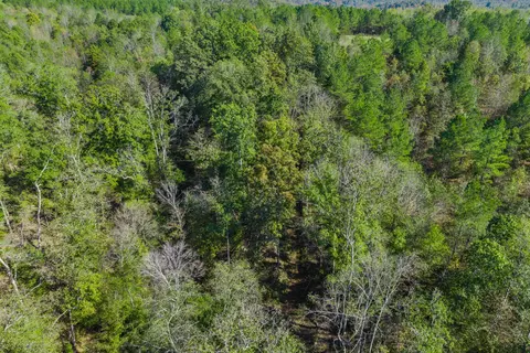 537 Saddleback Dr, Dover, TN 37058 photo 21