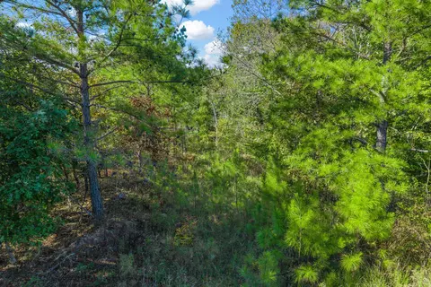 537 Saddleback Dr, Dover, TN 37058 photo 26