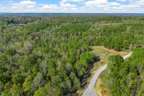 537 Saddleback Dr, Dover, TN 37058 photo 19