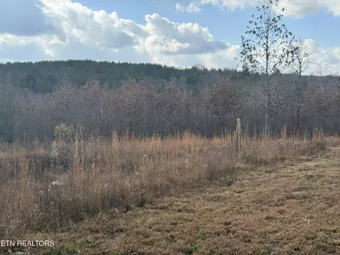 0 625 Acres Valerie Dr, Deer Lodge, TN 37726