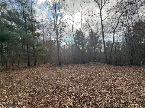 0 Valerie Drive 1077 Acres Dr, Deer Lodge, TN 37726
