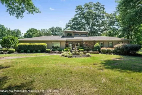 4905 Cherry Tree Dr, Olive Branch, MS 38654 photo 3