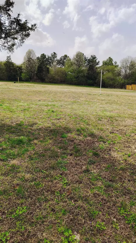 1317 Braystation Rd, Collierville, TN 38017