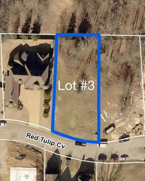 9054 Red Tulip Cv, Cordova, TN 38018