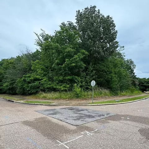 0 Brunswick Rd, Memphis, TN 38133