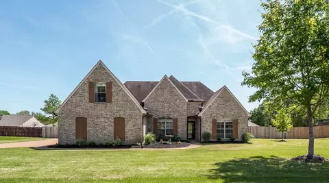 705 Black Ankle Dr, Oakland, TN 38060